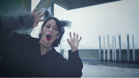 【龙傲娇】Beast Dance【这是你家走丢的哈士奇吗?